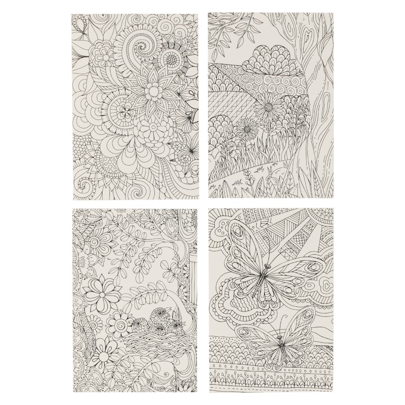 Colouring Greeting Card Set (12) (BXC031)