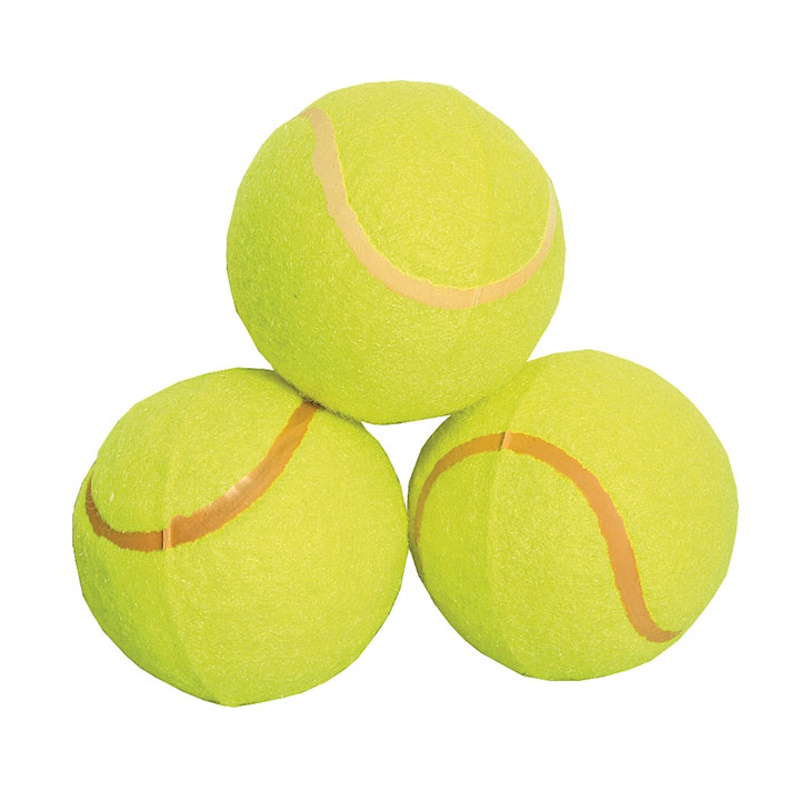 Educational Tennis Ball (1)