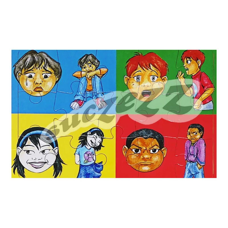 Happy, Sad, Angry, Surprised (15 piece)