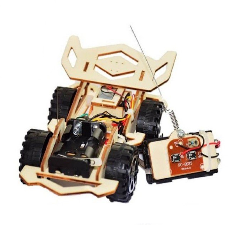 STEM DIY Wooden Remote Car