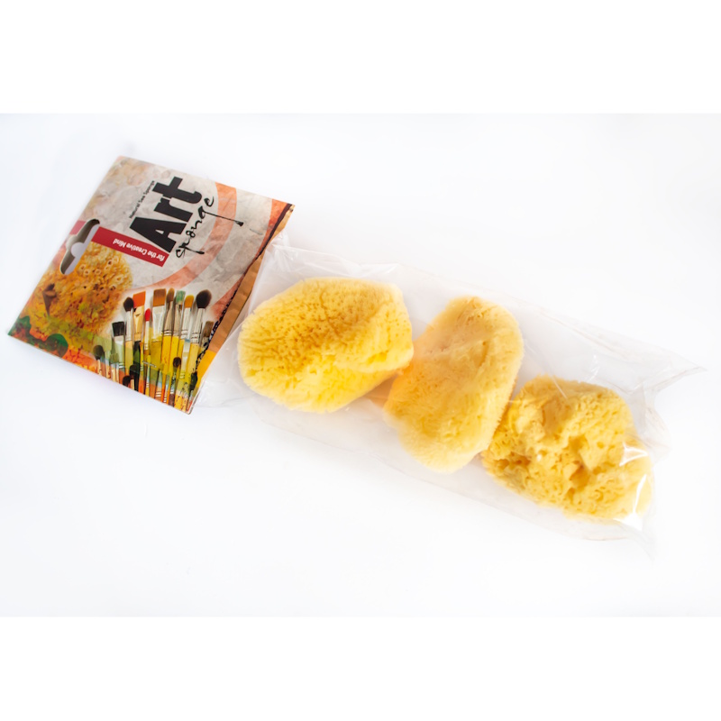 Pro-Art Art Sponge Fine (2-2.5", 3 pack)