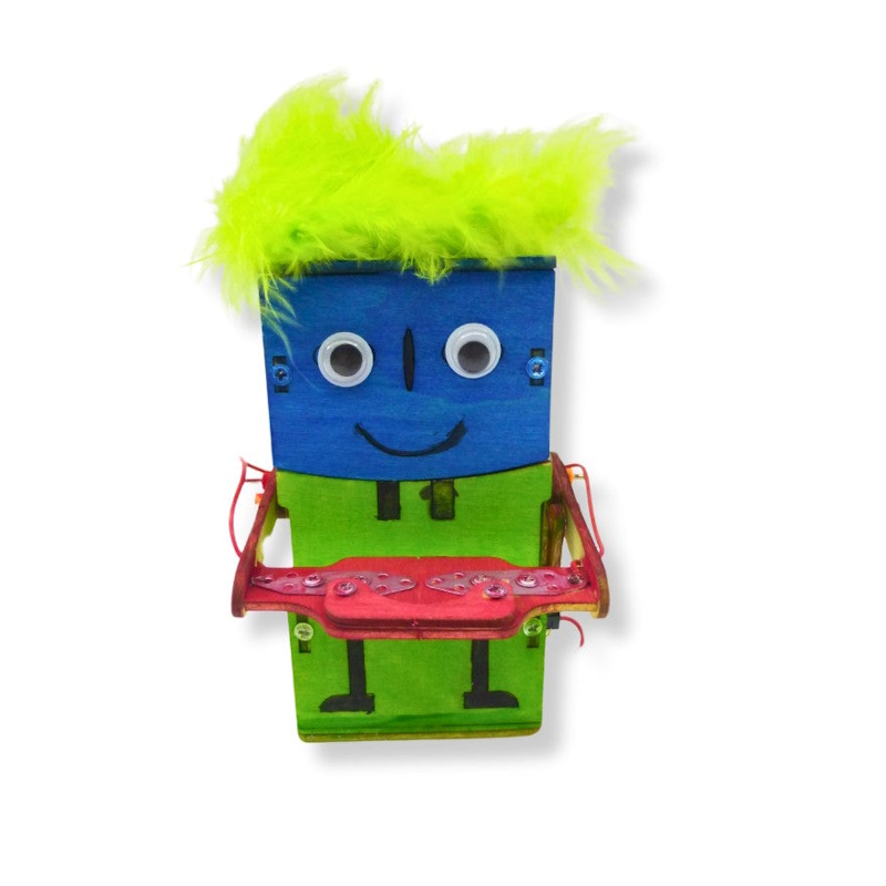 STEM DIY Wooden Coin Stealing Robot