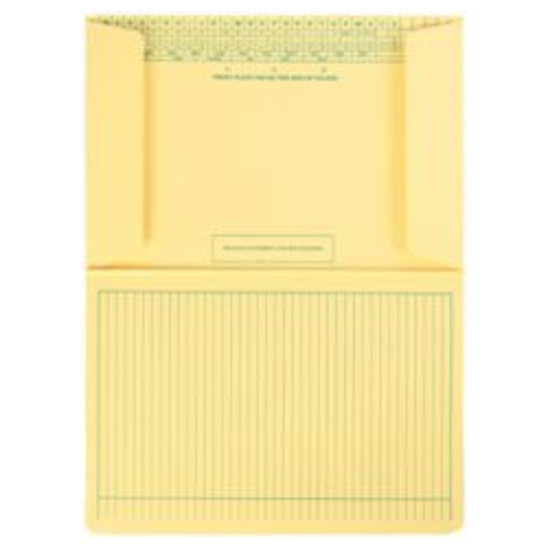 Tidy Files Medium Weight with Flaps (T44250)