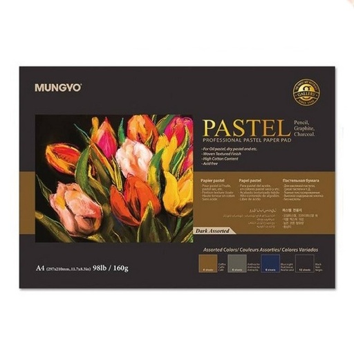 Mungyo Pastel Pad Dark Colours 160gsm A4 (30 sheets)